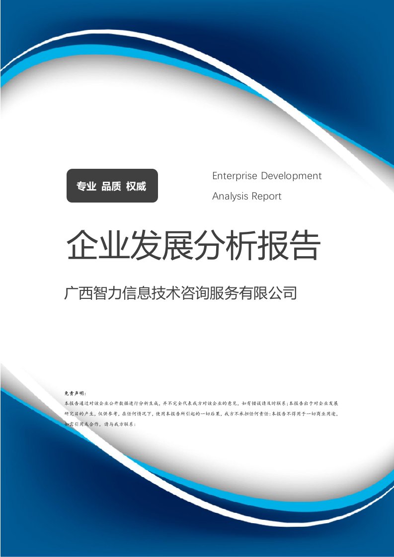 广西智力信息技术咨询服务企业发展分析报告 聚焦信息技术咨询服务赛道